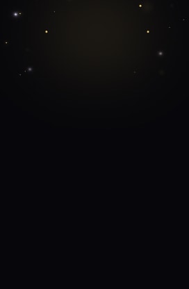 level image