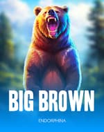 Big Brown